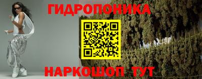прущие крисы Дубна