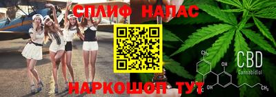 прущие крисы Дубна
