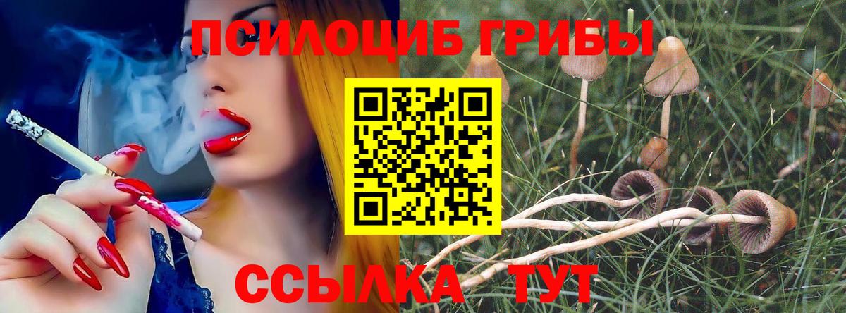Галлюциногенные грибы GOLDEN TEACHER Лысьва