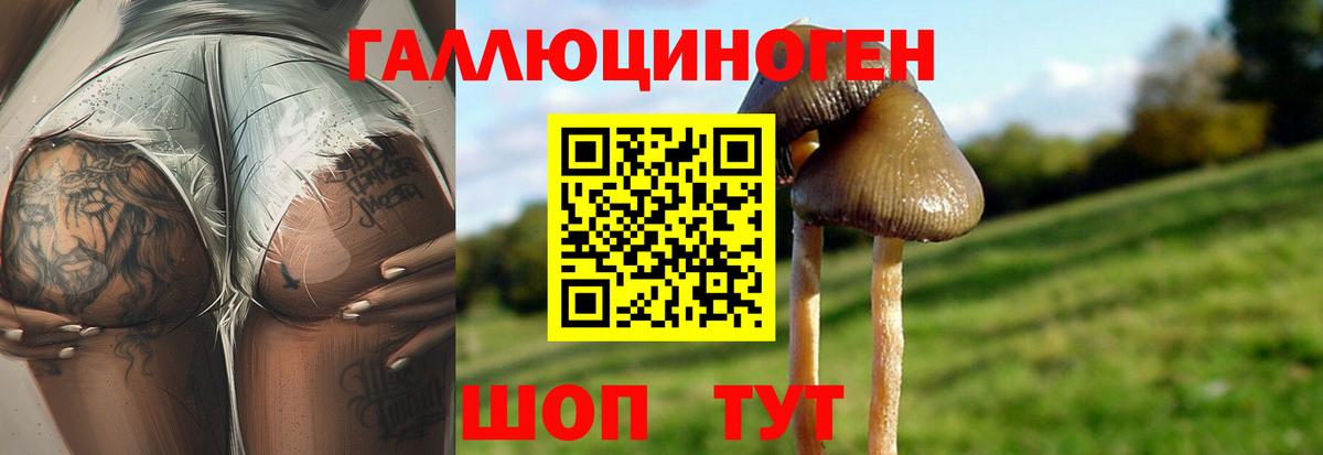 Лысьва  Галлюциногенные грибы Psilocybe  Вход с VPN 